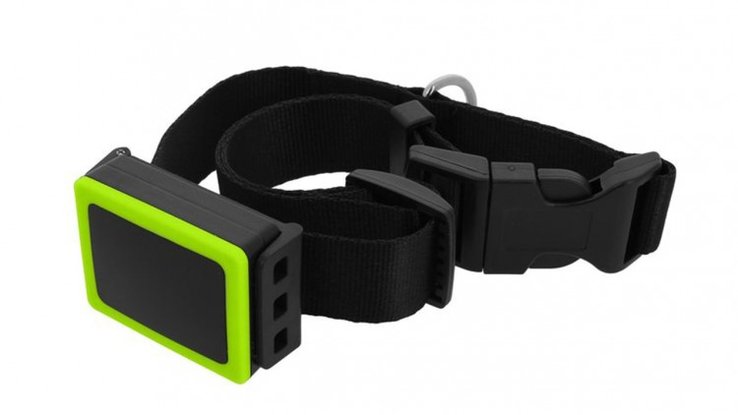 Collier Weenect Pets
