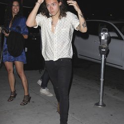 Harry Styles - petit coup de soleil californien