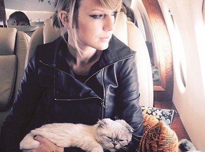 Taylor Swift et son chat