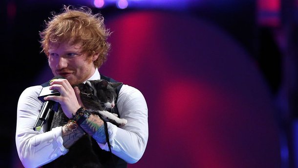 Ed Sheeran : même son chat a un compte Twitter!