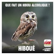 Dans la série "jeu de mots à la con"
