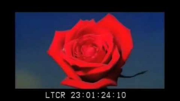CLIP - Carmen, la nouvelle vidéo de Lana Del Rey