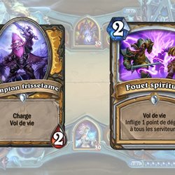 Cartes VOL DE VIE