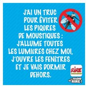 Blague sur les moustiques