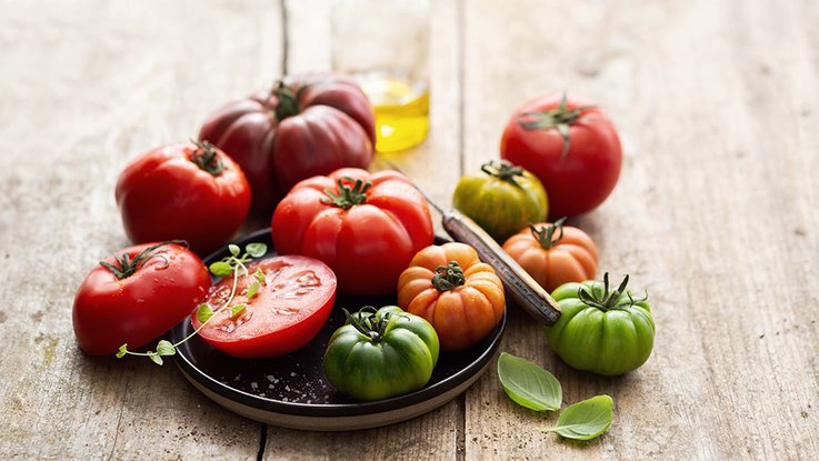 La Tomate, régal de couleurs