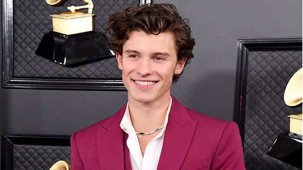 Shawn Mendes révèle le nom de la série télévisée qu'il vient de regarder!