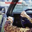 FOUNTAINS OF WAYNE