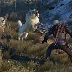 The Witcher 3: Wild Hunt