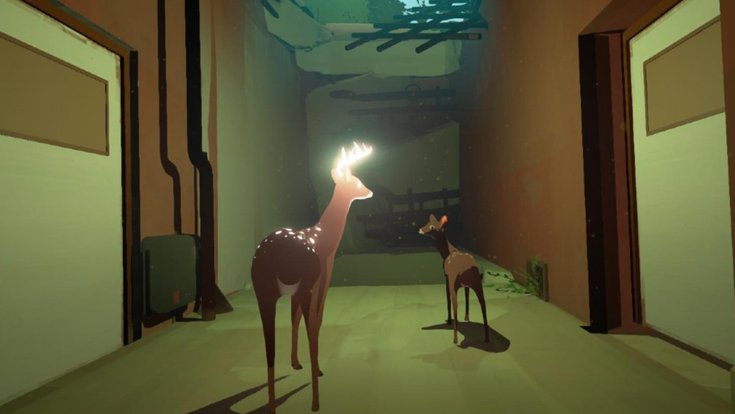 Way to the Woods