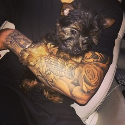 Justin Bieber et son chien 
