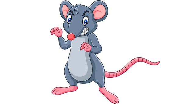Les infos du Réveil Chérie :  Les souris mâles ont peur des bananes !