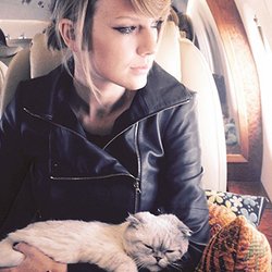 Taylor Swift et son chat