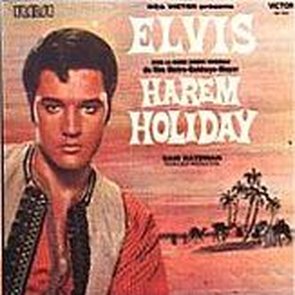 Harem Holiday