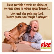 Un mec et un  chien : Pas facile la maison avec ces deux-là