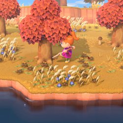 Animal Crossing: New Horizons sur Nintendo Switch