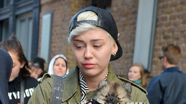 Miley Cyrus : un nouvel amour dans sa vie