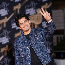 Le Tapis Rouge - NRJ Music Awards 2024