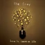 THE FRAY