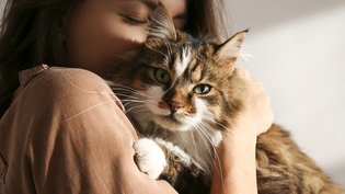 Les infos du Réveil Chérie : Les animaux de compagnie aident à mieux vivre le confinement