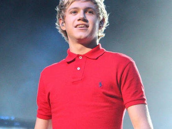 niall-des-one-direction