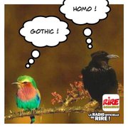Ça vole pas haut - Les images drôles de Rire & Chansons