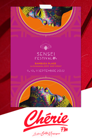 Sensei Festival 2022: tout savoir sur la 4ème édition !