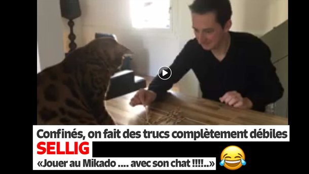 Sellig, confiné, joue au Mikado avec .... son chat !!!!