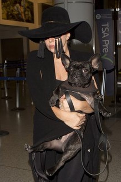 Lady Gaga et ses lunettes