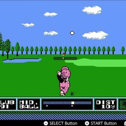 NES Open Tournament Golf