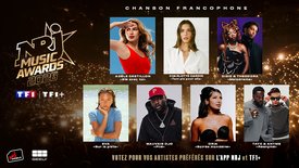 Chanson Francophone : découvrez les nommés aux NRJ Music Awards