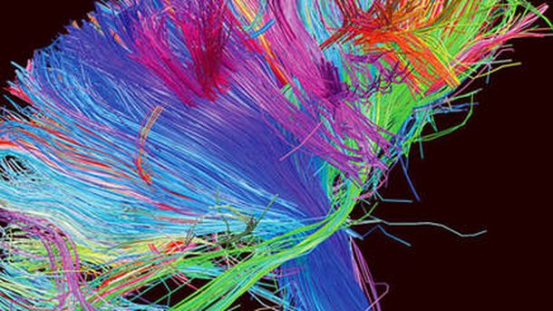 Muse dévoile la pochette de son album !