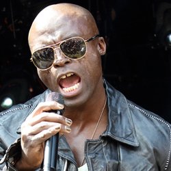 seal