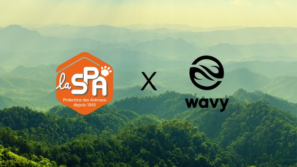 Wavy X SPA : un livestream caritatif aura lieu les 26 et 27 décembre
