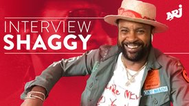 Shaggy: «"Hot Shot 2020" est une célébration de ma carrière»