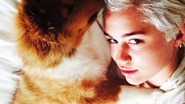 Miley Cyrus : heureuse grâce à son nouveau compagnon !