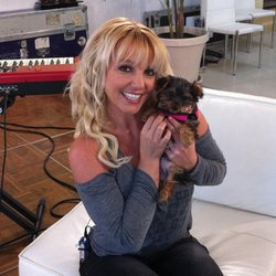Je veux tous présenter ma nouvelle petite fille: hannah spears: elle est pas trop mignonne ? 