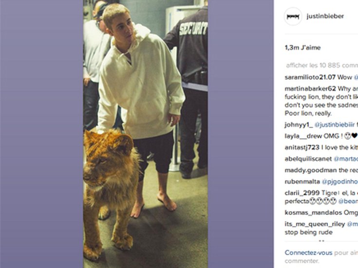 Justin Bieber prend la pose avec un lion
