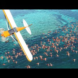 Microsoft Flight Simulator