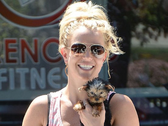 britney-spears