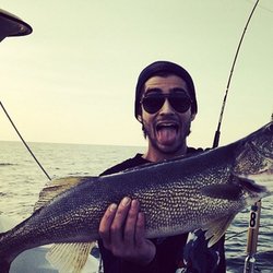zayn-malik
