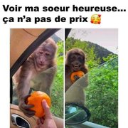Moment de bonheur
