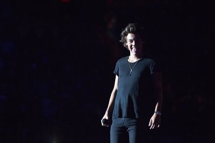 Harry Styles - L'Annuel Officiel 2015