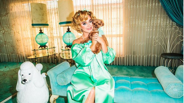Katy Perry, Vianney, Lady Gaga… ces artistes fans de leurs animaux de compagnie