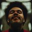 THE WEEKND
