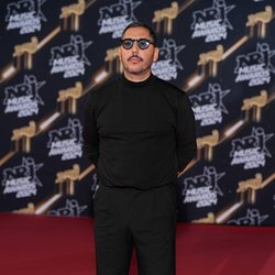 Le Tapis Rouge - NRJ Music Awards 2024