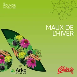 Maux de l’hiver