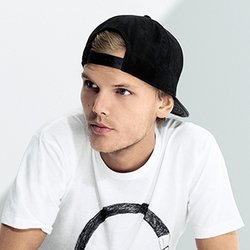 Avicii - Fiche