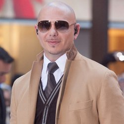 pitbull