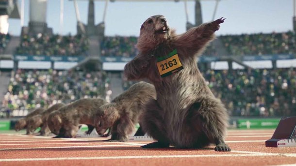 Les infos du Réveil Chérie : Les marmottes de France 3 passionnent les américains