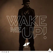 Wake me up !